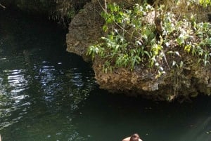 ザンジバル：ムンバ島 イルカ＆シュノーケリングツアー