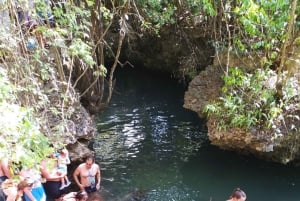ザンジバル：ムンバ島 イルカ＆シュノーケリングツアー