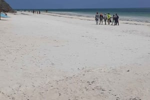 ザンジバル：ムンバ島 イルカ＆シュノーケリングツアー