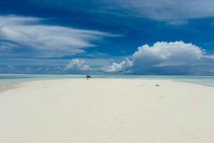 Sansibar: Mnemba Island & Delfinschwimmen mit optionalem Mittagessen