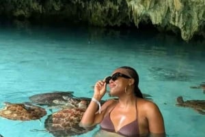 Zanzibar: Svøm med delfiner og havskildpadder i Mnemba-akvarium