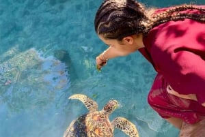 Zanzibar: Svøm med delfiner og havskildpadder i Mnemba-akvarium