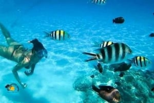 Au départ de Nungwi : observation des dauphins et plongée avec tuba sur l'île de Mnemba