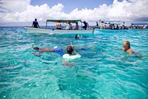 Zanzibar: Crociera al tramonto e osservazione dei delfini sull'isola di Mnemba