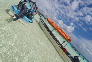 Zanzibar: Crociera al tramonto e osservazione dei delfini sull'isola di Mnemba