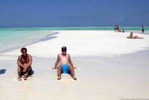 Zanzibar: Excursão para ver golfinhos e nadar com tartarugas na Ilha Mnemba