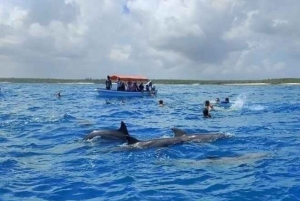 Zanzibar: Mnemba Island Dolphins & Snorkeling half day tour