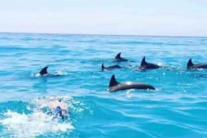 Zanzibar: Halvdagstur till Mnemba Island med delfiner och snorkling