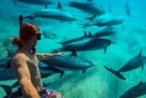 Zanzibar: Delfiner, snorkling och åktur med båt på Mnemba Island