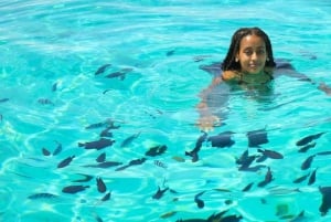 Zanzibar: Delfiner, snorkling och åktur med båt på Mnemba Island