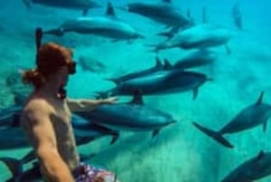 Zanzibar: Mnemba Island Dolphins, Snorkelling & Boat Ride