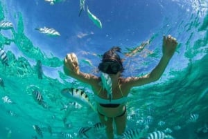 ZANZÍBAR: Mnemba: excursión de un día a las Maldivas africanas con almuerzo incluido.