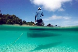 ZANZÍBAR: Mnemba: excursión de un día a las Maldivas africanas con almuerzo incluido.