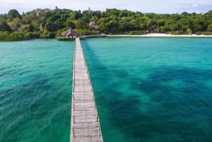 ZANZÍBAR: Mnemba: excursión de un día a las Maldivas africanas con almuerzo incluido.