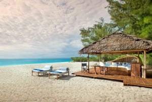 Zanzibar:Mnemba Island Full Day, Live Aquarium Turtle House