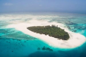 Zanzibar:Mnemba Island Full Day, Live Aquarium Turtle House