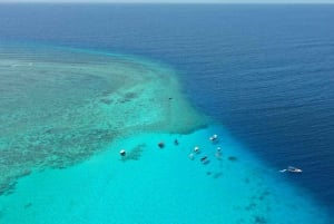 Zanzibar:Mnemba Island Full Day, Live Aquarium Turtle House