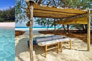 Zanzibar:Mnemba Island Full Day, Live Aquarium Turtle House