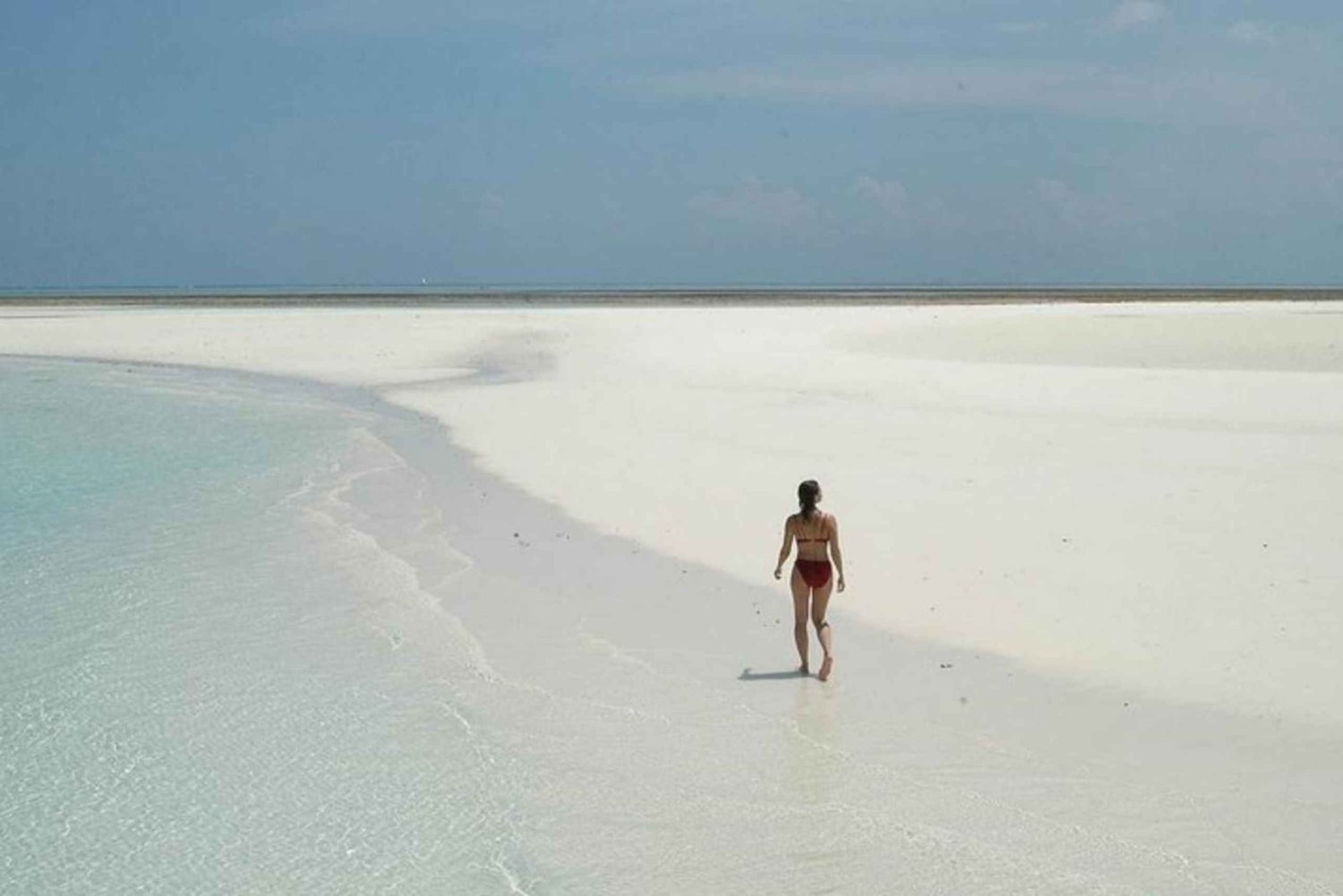 Zanzibar: Mnemba Island & Jozani Forest Day Tour