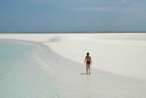 Zanzibar: Dagstur till Mnemba Island och Jozani Forest