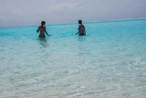 Zanzibar: Dagstur till Mnemba Island och Jozani Forest