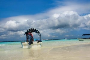 Zanzibar: Dagstur till Mnemba Island och Jozani Forest