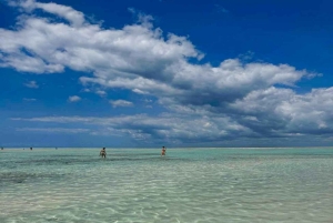 Zanzíbar: excursión de un día a la isla de Mnemba y al bosque de Jozani