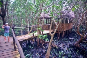 Zanzíbar: excursión de un día a la isla de Mnemba y al bosque de Jozani