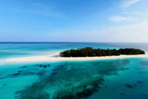 Zanzíbar: excursión de un día a la isla de Mnemba y al bosque de Jozani