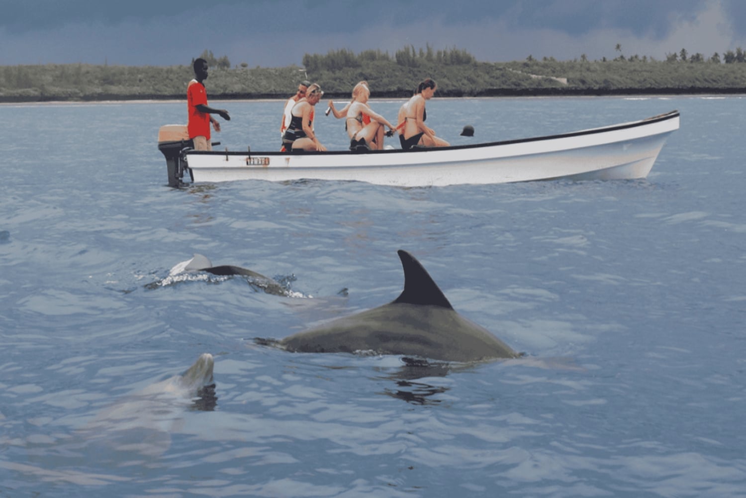 Zanzibar: wyspa Mnemba, las Jozani i żółwie morskie