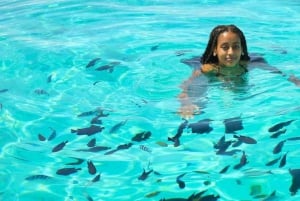 Zanzibar: Mnemba-øya, Jozani-skogen og havskilpadder