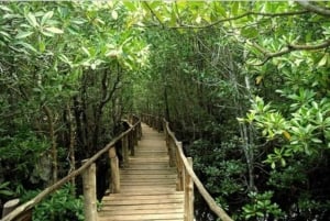 Zanzibar: passeio pela Ilha de Mnemba e Floresta de Jozani com tartarugas