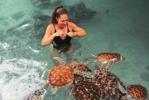 Zanzibar: passeio pela Ilha de Mnemba e Floresta de Jozani com tartarugas