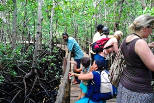 Zanzibar: wyspa Mnemba, las Jozani i wycieczka z żółwiami
