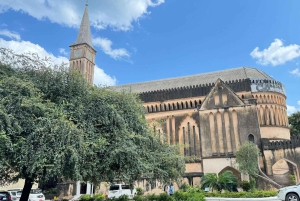 Zanzibar: Mnemba Island, Prison Island och Stone Town-tur