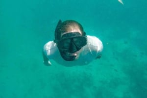 Zanzibar: Zipline-eventyr i Masingini-skogen