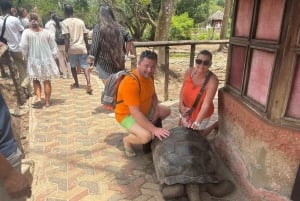 Zanzibar: Zipline-eventyr i Masingini-skogen
