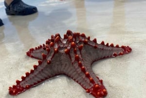 Занзибар: тур на остров Мнемба с наблюдением за дельфинами и сноркелингом