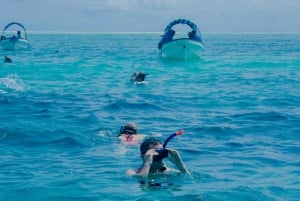 Занзибар: тур на остров Мнемба с наблюдением за дельфинами и сноркелингом