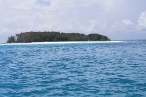 Zanzibar: Snorkeling na wyspie Mnemba i wycieczka z delfinami
