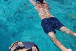 Zanzibar: Snorkeling na wyspie Mnemba i wycieczka z delfinami