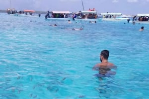 Zanzibar: Snorkeling na wyspie Mnemba i wycieczka z delfinami