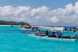 Zanzibar: Snorkeling na wyspie Mnemba i wycieczka z delfinami