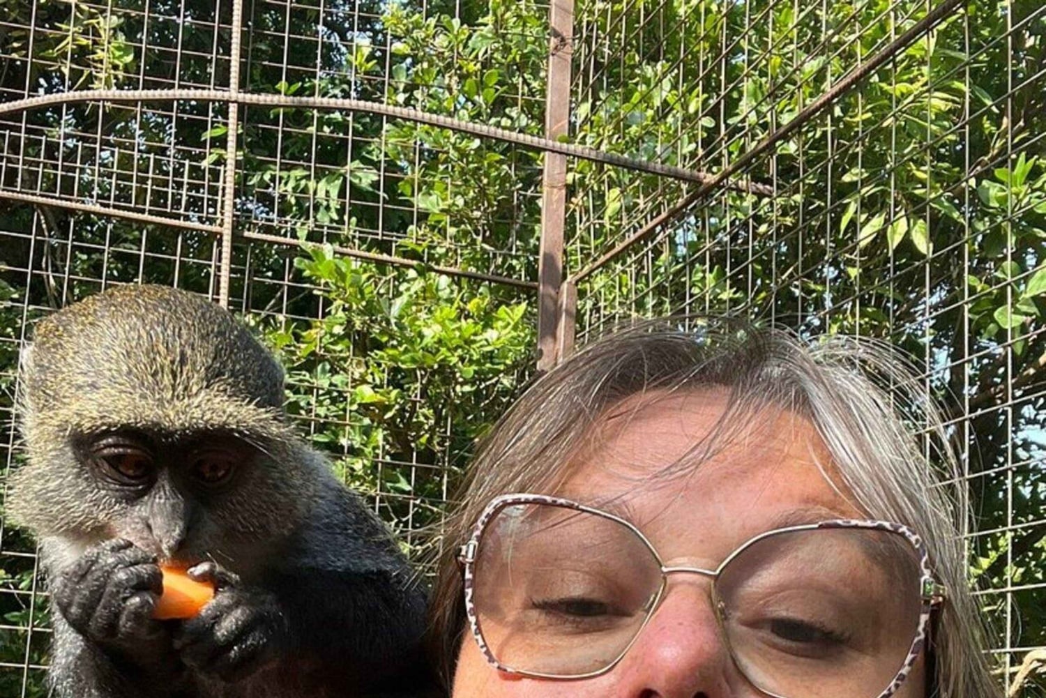 Zanzibar : Île de Mnemba, Aquarium des Tortues Marines et Zoo de Kilosa