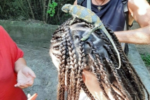 Zanzibar : Île de Mnemba, Aquarium des Tortues Marines et Zoo de Kilosa