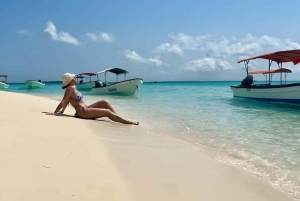 Zanzibar : Île de Mnemba, Aquarium des Tortues Marines et Zoo de Kilosa