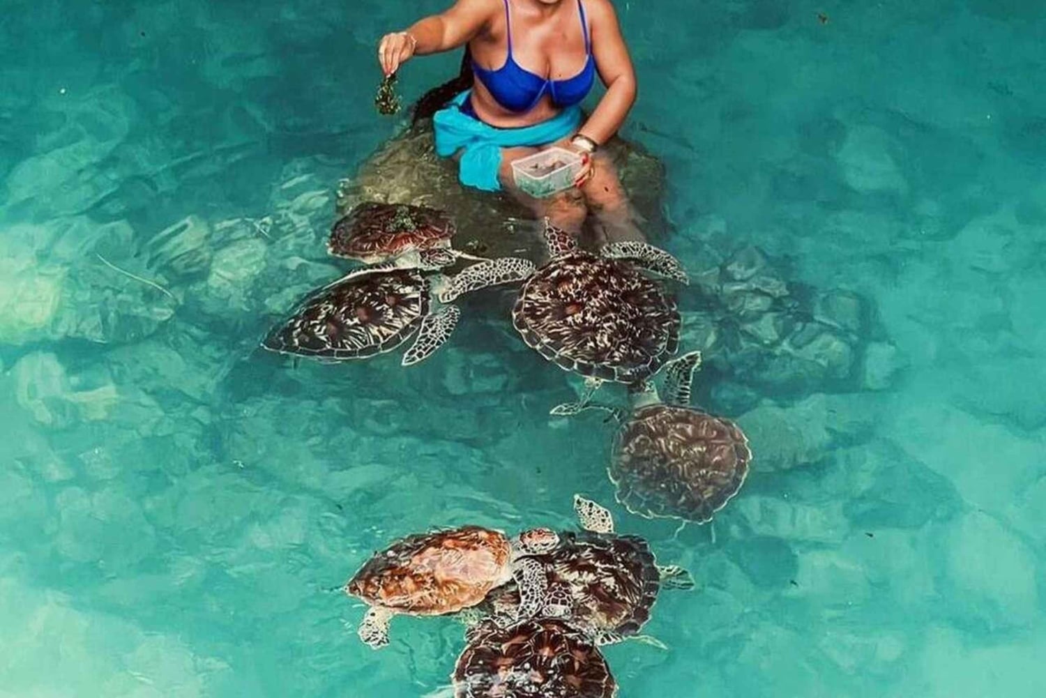 Zanzibar: visita alle tartarughe marine dell'isola di Mnemba e alla foresta di Jozani