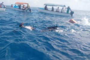 Zanzibar: Snorkeling na wyspie Mnemba i wycieczka z delfinami