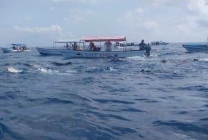 Zanzibar: Snorkeling na wyspie Mnemba i wycieczka z delfinami