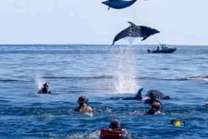 Zanzibar: Snorkeling na wyspie Mnemba i wycieczka z żółwiami Nungwi